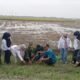 Img 20250717 wa0017