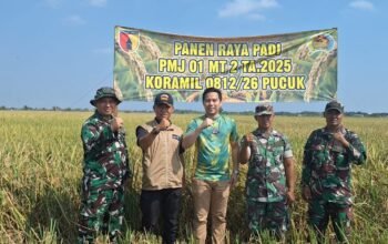 Img 20250727 wa0044