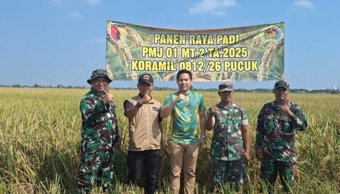 Semangat TNI Bersama Petani: Koramil Pucuk Hadir Di Tengah Panen Raya