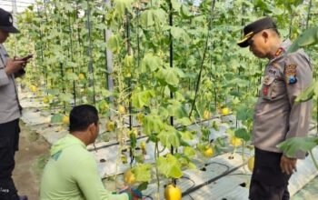 Budidaya Melon ala Green House Jadi Inspirasi, Kapolsek Warujayeng Beri Dukungan