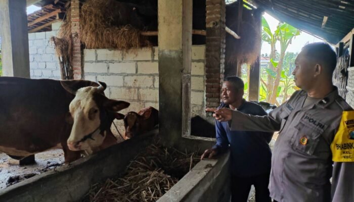 Bhabinkamtibmas Nglawak Pantau Peternakan Warga, Dukung Program Ketahanan Pangan
