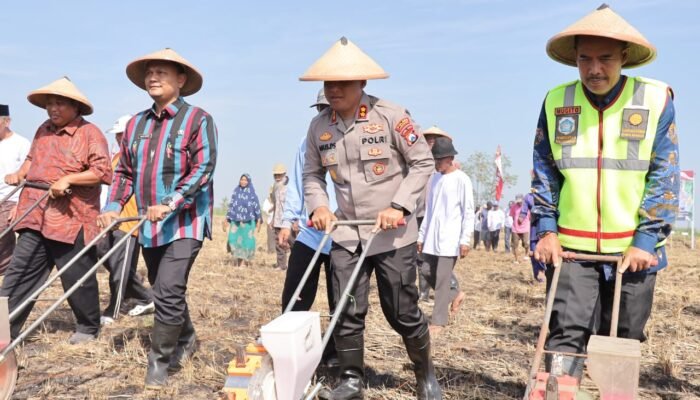 Kapolres Lamongan Tanam Jagung Di Desa Kedali Langkah Nyata Menuju Kemandirian Pangan