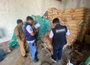 Polres Bojonegoro Bersama Satgas Pangan Sidak Pengilingan Padi, Antisipasi Beras Oplosan