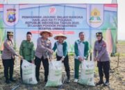 Peringati Hari Jadi Ke-77, Polwan Polres Bojonegoro Tanam Jagung Dukung Ketahanan Pangan