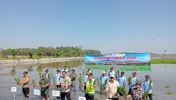 Sinergi Teguhkan Ketahanan Pangan Danramil Sukodadi Dan Forkopimda Dampingi Kunjungan Direktur Kementan RI