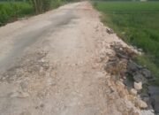 Proyek Peningkatan Jalan Rp 3,6 Miliar di Senori Tuban Diduga Tak Sesuai Spek