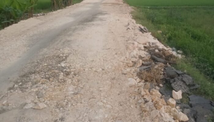 Proyek Peningkatan Jalan Rp 3,6 Miliar di Senori Tuban Diduga Tak Sesuai Spek