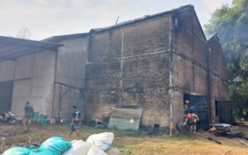 Open Tembakau di Sukosewu Bojonegoro Terbakar, Kerugian Capai Ratusan Juta