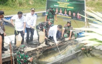 Kodim Lamongan Gelar Coffee Morning dan Panen Raya Padi, Perkuat Sinergi Demi Ketahanan Pangan Nasional