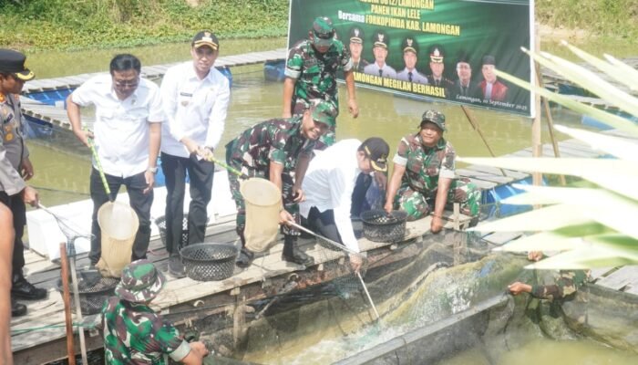 Kodim Lamongan Gelar Coffee Morning dan Panen Raya Padi, Perkuat Sinergi Demi Ketahanan Pangan Nasional