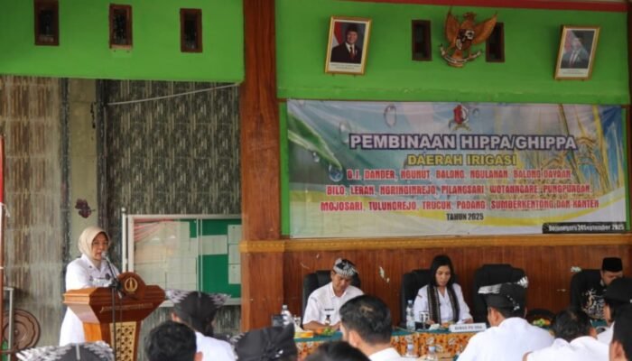 Target Besar, Bojonegoro Ingin Lampaui Produksi Padi Daerah Lain