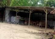 SPBU di Bojonegoro Jadi Sarang Mafia Solar, Ribuan Liter BBM Disedot Tiap Hari