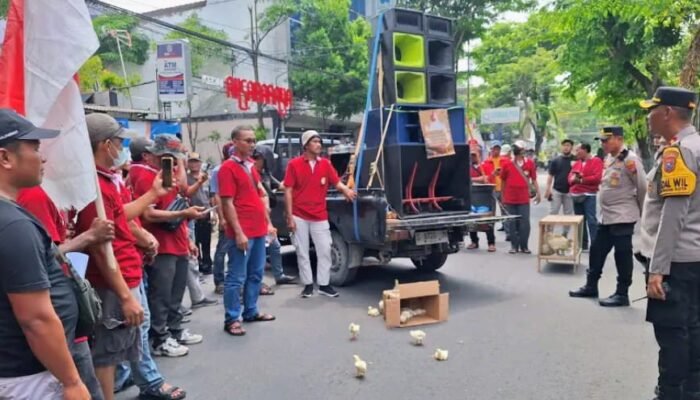 ‎Suara Peternak Ayam Broiler Menggema Di Lamongan Tolak Sidak Tanpa Surat Tugas