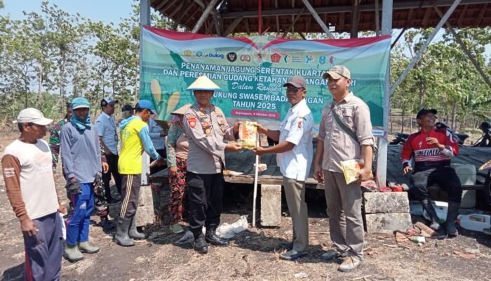 Demi Ketahanan Pangan, Polsek Kedungadem Bersama Warga Tondomulo Kembangkan Lahan Jagung