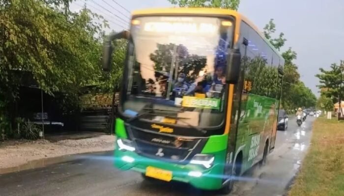 Trans Jatim Koridor VII, Nafas Baru Transportasi Publik Lamongan