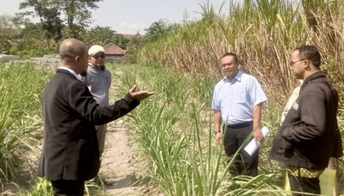 Diduga Lelang Sepihak, BPR Bhapertim Cabang Kepung Digugat Nasabah Kediri