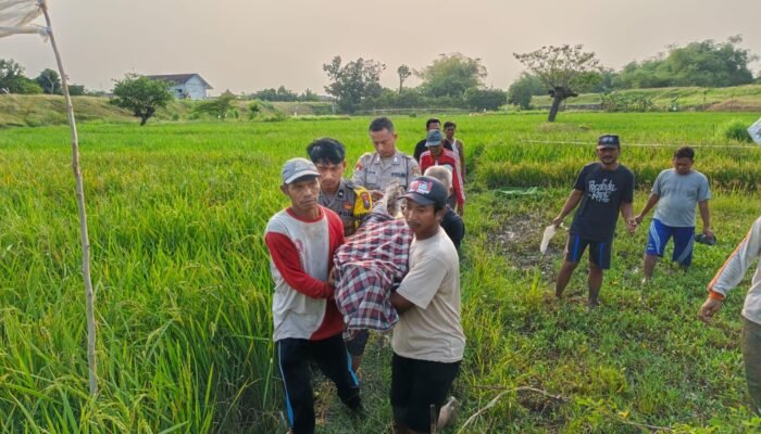 Tragis Di Tengah Sawah Seorang Petani Di Lamongan Tewas Tersengat Jebakan Tikus Listrik