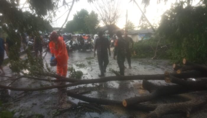 ‎Sinergi TNI, Tiga Pilar, Dan Warga Evakuasi Pohon Tumbang Di Desa Bali Jombok