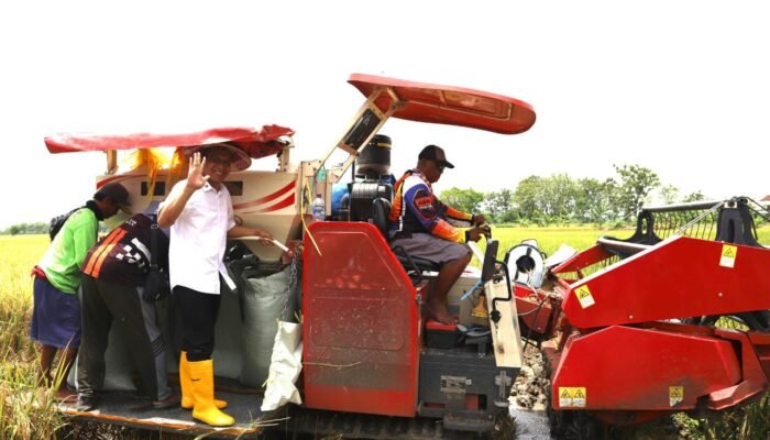 Syukur Panen Raya, Petani Sumberrejo Banjir Hasil, Bupati Ajak Jaga Kesuburan Lahan