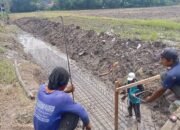 Proyek Misterius di Bojonegoro, Tak Ada Papan Nama, Pekerja Dibiarkan Tanpa Alat Keselamatan