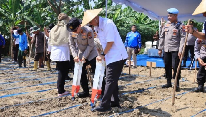 Polres Bojonegoro Tanam Jagung Dukung Program Asta Cita Presiden Prabowo