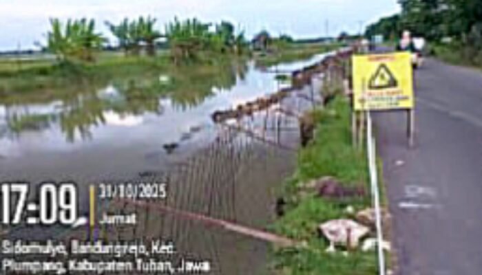 Tergenang Air, Pemasangan TPT di Tuban Diduga Langgar Aturan Teknis