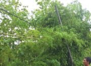 Miris, Listrik Mati Dua Hari di Gempol Tuban, PLN Dianggap Tak Punya Nurani