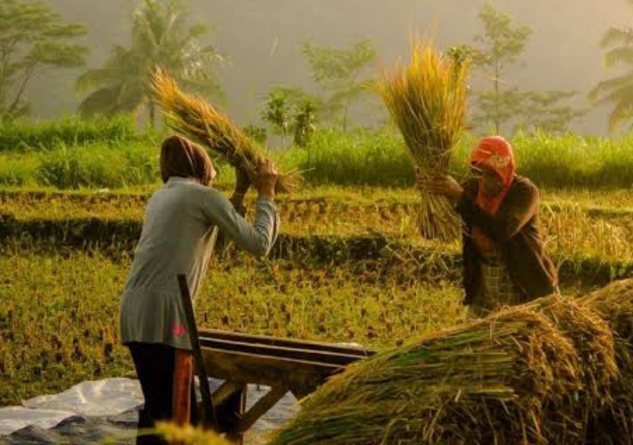 1762662902822 copy 1280x901