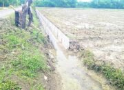 Proyek Ratusan Juta di Tulungrejo Bojonegoro Tanpa Lantai Kerja, Warga: Ini Namanya Maling