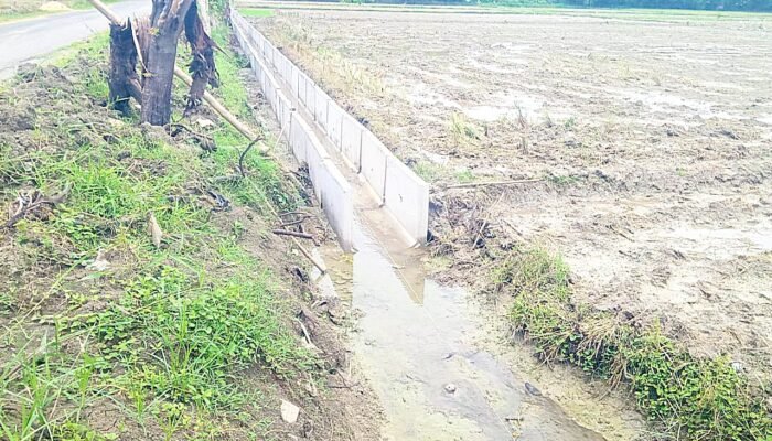 Proyek Ratusan Juta di Tulungrejo Bojonegoro Tanpa Lantai Kerja, Warga: Ini Namanya Maling