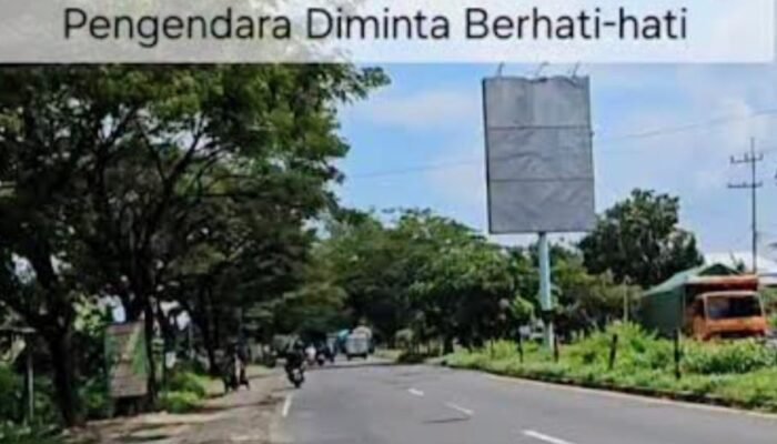 ‎Jalan Poros Dan PJU Lamongan–Babat Hancur Dan Mati Total,Pemerintah Daerah Seolah Tutup Mata