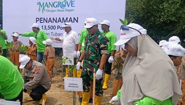 Danramil Brondong Dan ExxonMobil Tanam 13.500 Pohon Mangrove Di Sedayulawas