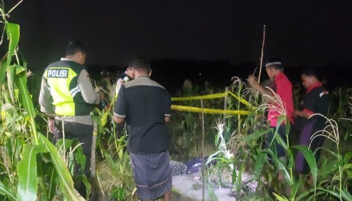 Petani Ngrandu Bojonegoro Ditemukan Tewas di Sawah, Diduga Akibat Penyakit Jantung