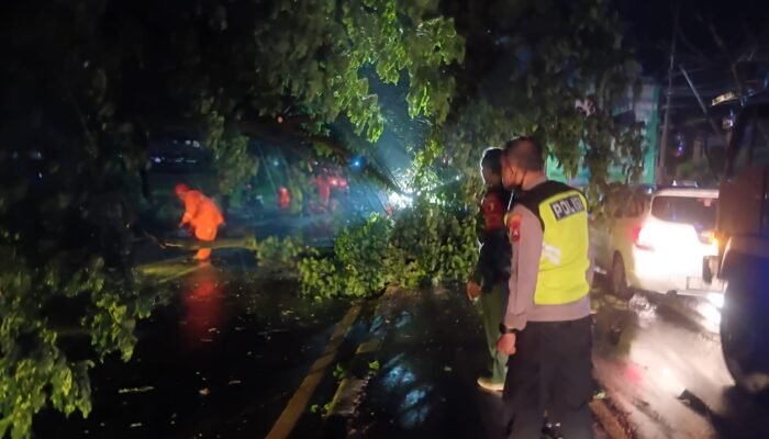 ‎Gerak Cepat Polres Lamongan Atasi Kemacetan Akibat Pohon Tumbang