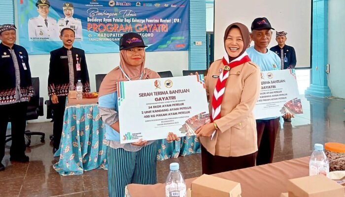 Kedungadem Siap Beternak, Pemerintah Bojonegoro Gelontorkan Ribuan Bantuan Ayam Petelur