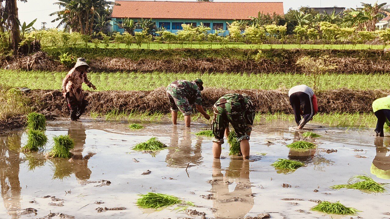 Img 20251122 wa0131 copy 1280x720