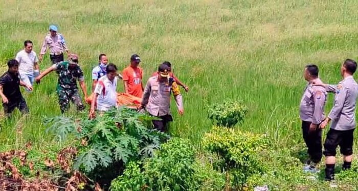 Pencari Rumput Ditemukan Meninggal Di Persawahan Babat Lamongan