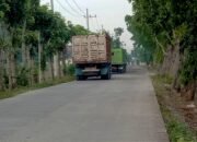 Kades Suwaloh Diduga Biarkan Truk Pasir Rusak Jalan Desa Demi Cuan