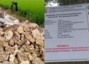 P3-TGAI Soko Tuban Jadi Sorotan, Ada Apa dengan Batu-Batunya