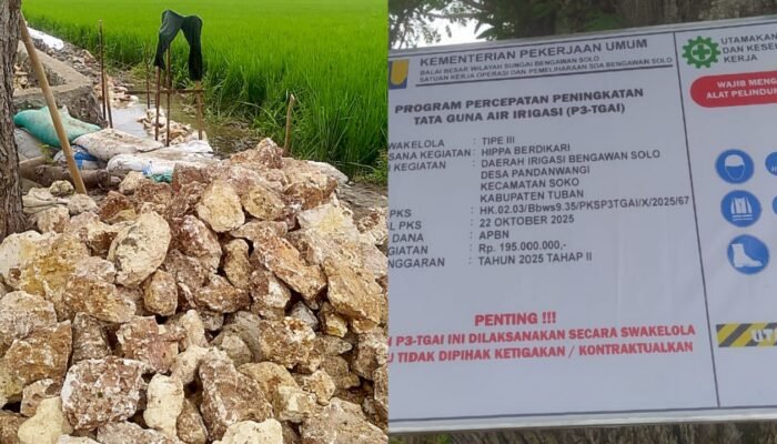 P3-TGAI Soko Tuban Jadi Sorotan, Ada Apa dengan Batu-Batunya