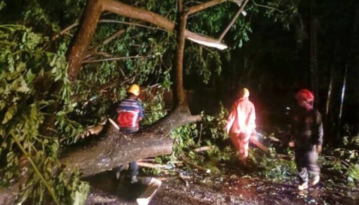Hujan Badai Hantam Tiga Kecamatan di Bojonegoro