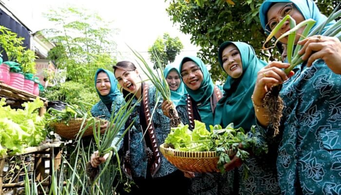 Pekarangan Disulap Jadi Kebun, Desa Guyangan Bojonegoro Jadi Sorotan Jawa Timur