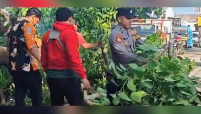 Jalan Deandels Paciran Lamongan Sempat Macet Total, Begini Aksi Cepat Petugas