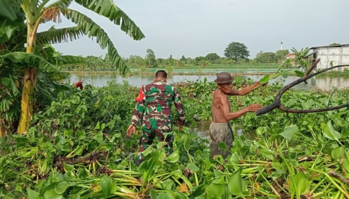 ‎Babinsa Turi Bersama Muspika Dan Warga Hidupkan Padat Karya Desa Bambang