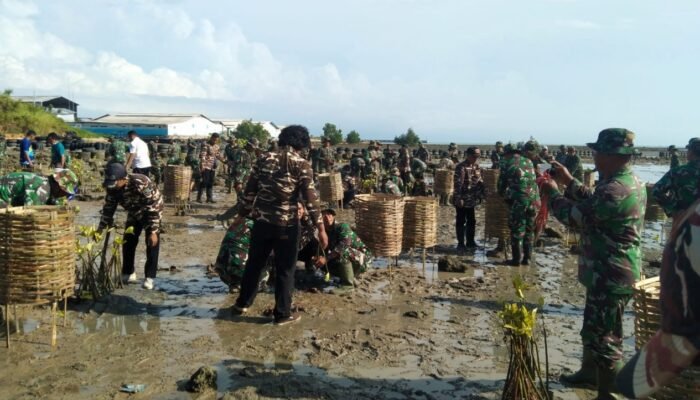 ‎Tanam Ribuan Mangrove, Peringati Hari Juang TNI AD Dan HUT Ke-77 Kodam V/Brawijaya