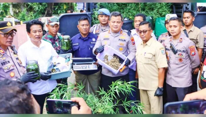 Warga Curiga, Polisi Gerebek Kontrakan Berisi Ratusan Tanaman Ganja