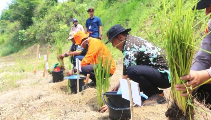 Turun ke Lapangan, Bupati Bojonegoro Tanam Vetiver di Titik Rawan Longsor