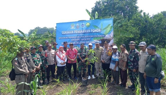 ‎Koramil Sambeng–Sukorame Hijaukan Desa Lewat Agroforestri ‎