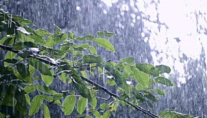 Info Cuaca Bojonegoro Selasa 23 Desember: Berawan Seharian