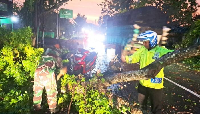 Jalur Puter–Pelang Lamongan Kembali Normal Usai Pohon Tumbang Dievakuasi